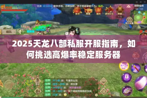 2025天龙八部私服开服指南，如何挑选高爆率稳定服务器