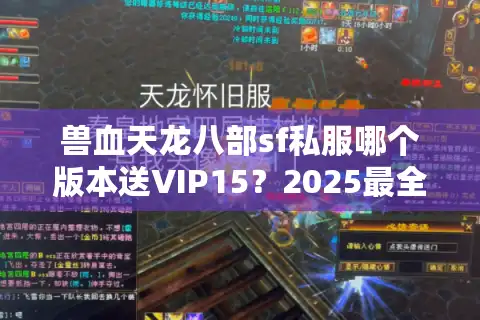 兽血天龙八部sf私服哪个版本送VIP15？2025最全避坑指南