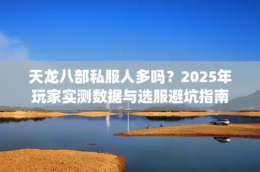 天龙八部私服人多吗？2025年玩家实测数据与选服避坑指南