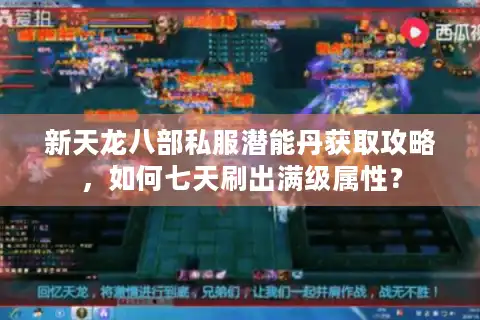 新天龙八部私服潜能丹获取攻略，如何七天刷出满级属性？