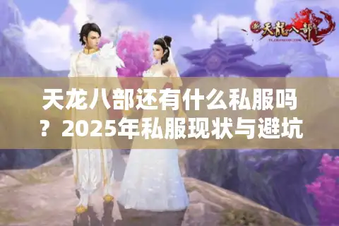 天龙八部还有什么私服吗？2025年私服现状与避坑指南