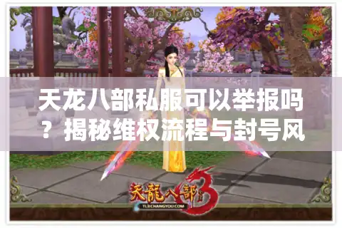 天龙八部私服可以举报吗？揭秘维权流程与封号风险
