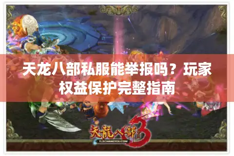 天龙八部私服能举报吗?玩家权益保护完整指南 天龙八部私服能举报吗?玩家权益保护完整指南