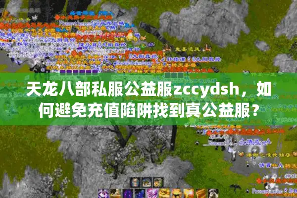 天龙八部私服公益服zccydsh，如何避免充值陷阱找到真公益服？