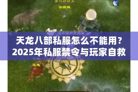 天龙八部私服怎么不能用？2025年私服禁令与玩家自救指南