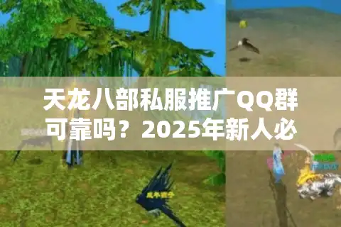 天龙八部私服推广QQ群可靠吗？2025年新人必看避坑指南