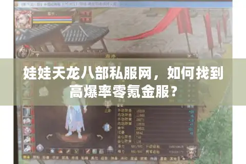 娃娃天龙八部私服网，如何找到高爆率零氪金服？