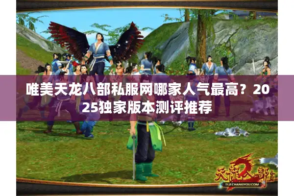唯美天龙八部私服网哪家人气最高？2025独家版本测评推荐
