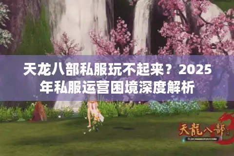 天龙八部私服玩不起来？2025年私服运营困境深度解析
