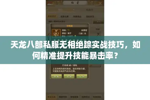天龙八部私服无相绝踪实战技巧，如何精准提升技能暴击率？