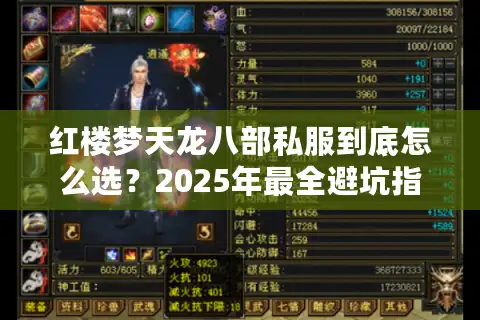 红楼梦天龙八部私服到底怎么选？2025年最全避坑指南