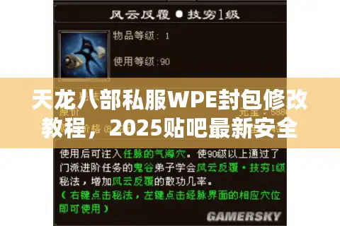 天龙八部私服WPE封包修改教程，2025贴吧最新安全方案揭秘