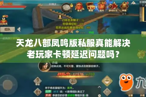 天龙八部凤鸣版私服真能解决老玩家卡顿延迟问题吗？