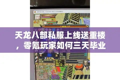 天龙八部私服上线送重楼，零氪玩家如何三天毕业全服？