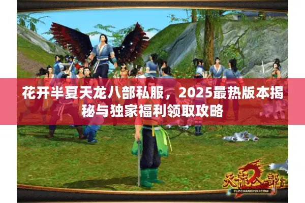 花开半夏天龙八部私服，2025最热版本揭秘与独家福利领取攻略