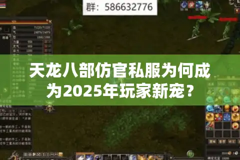 天龙八部仿官私服为何成为2025年玩家新宠？