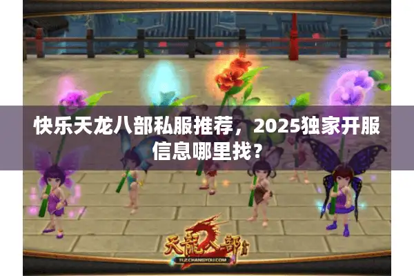 快乐天龙八部私服推荐，2025独家开服信息哪里找？
