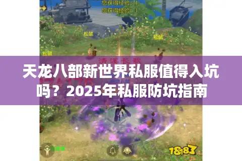 天龙八部新世界私服值得入坑吗？2025年私服防坑指南