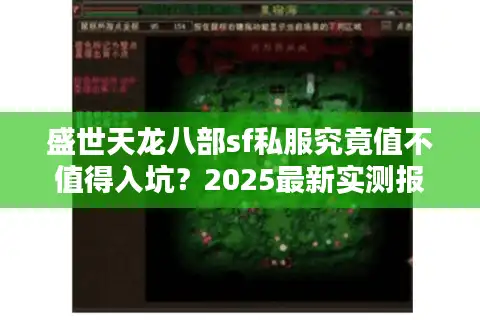 盛世天龙八部sf私服究竟值不值得入坑？2025最新实测报告