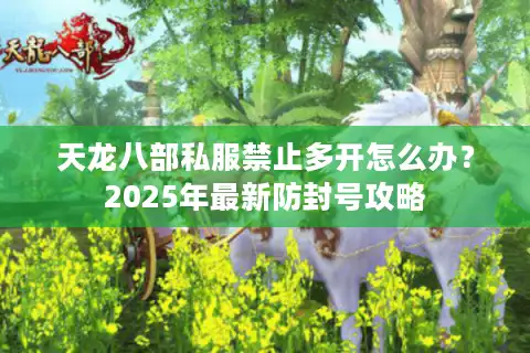 天龙八部私服禁止多开怎么办？2025年最新防封号攻略