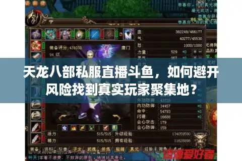天龙八部私服直播斗鱼，如何避开风险找到真实玩家聚集地？