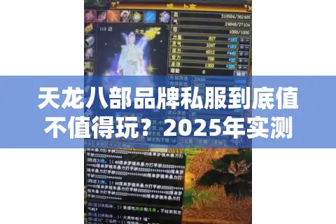 天龙八部品牌私服到底值不值得玩？2025年实测避坑指南