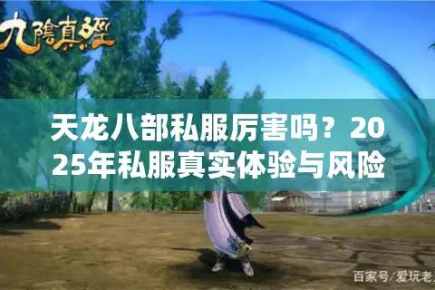 天龙八部私服厉害吗？2025年私服真实体验与风险避坑指南