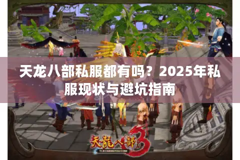 天龙八部私服都有吗？2025年私服现状与避坑指南