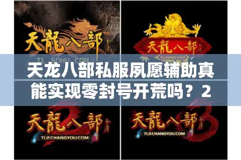 天龙八部私服夙愿辅助真能实现零封号开荒吗？2025实战经验揭秘）