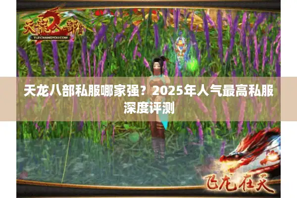 天龙八部私服哪家强？2025年人气最高私服深度评测