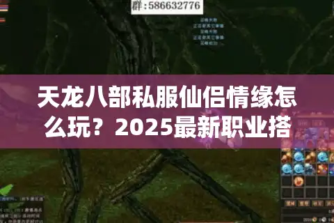 天龙八部私服仙侣情缘怎么玩？2025最新职业搭配与夫妻副本攻略