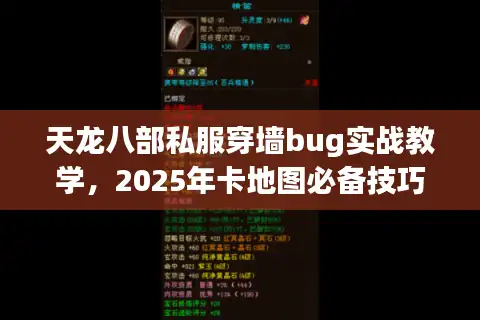 天龙八部私服穿墙bug实战教学，2025年卡地图必备技巧