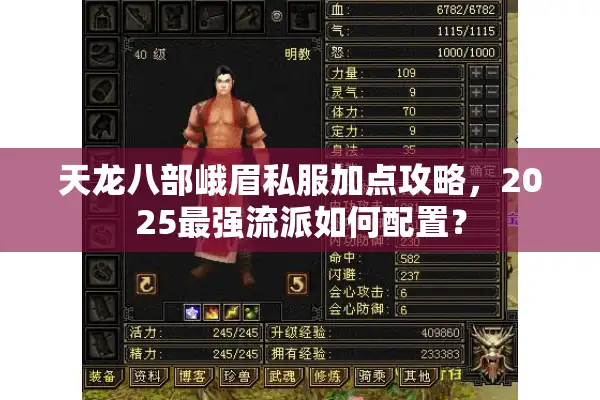 天龙八部峨眉私服加点攻略，2025最强流派如何配置？