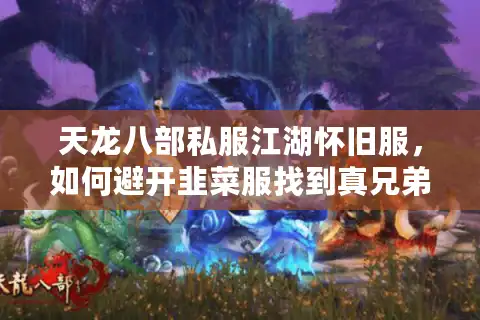 天龙八部私服江湖怀旧服，如何避开韭菜服找到真兄弟？