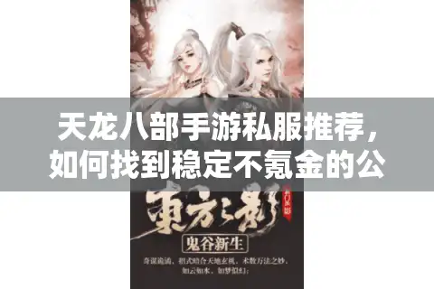 天龙八部手游私服推荐，如何找到稳定不氪金的公益服平台？