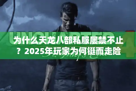 为什么天龙八部私服屡禁不止？2025年玩家为何铤而走险