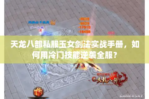 天龙八部私服玉女剑法实战手册，如何用冷门技能逆袭全服？