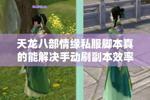 天龙八部情缘私服脚本真的能解决手动刷副本效率低的问题吗？