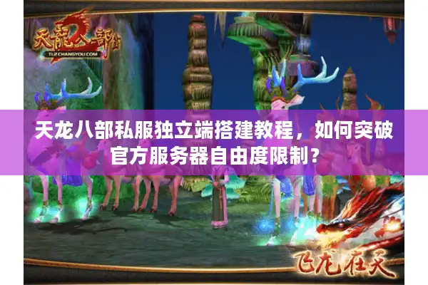 天龙八部私服独立端搭建教程，如何突破官方服务器自由度限制？