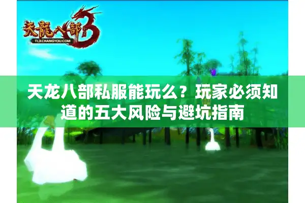 天龙八部私服能玩么？玩家必须知道的五大风险与避坑指南