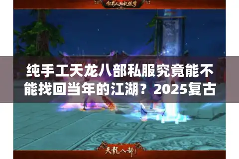 纯手工天龙八部私服究竟能不能找回当年的江湖？2025复古版本深度解析