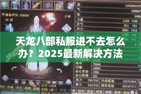 天龙八部私服进不去怎么办？2025最新解决方法实测有效