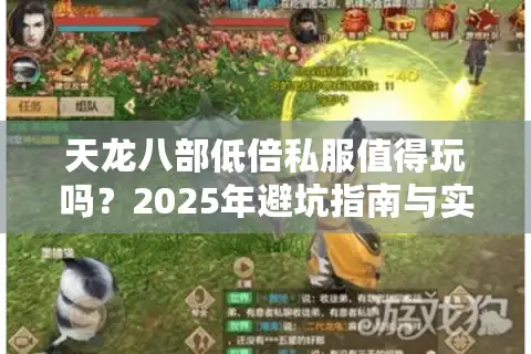 天龙八部低倍私服值得玩吗？2025年避坑指南与实战评测