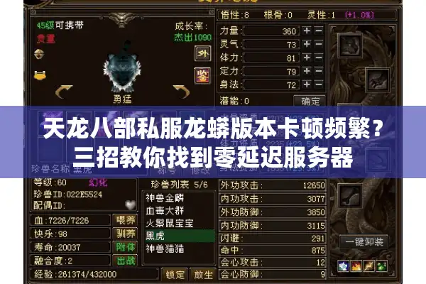 天龙八部私服龙蟒版本卡顿频繁？三招教你找到零延迟服务器