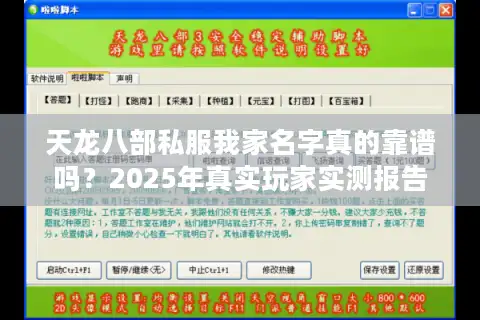 天龙八部私服我家名字真的靠谱吗？2025年真实玩家实测报告