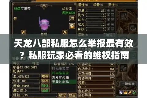 天龙八部私服怎么举报最有效？私服玩家必看的维权指南