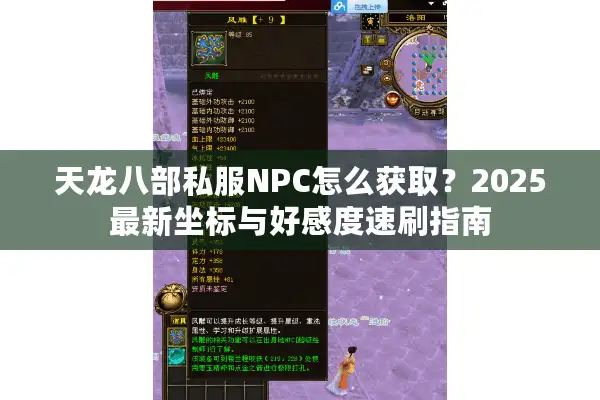 天龙八部私服NPC怎么获取？2025最新坐标与好感度速刷指南