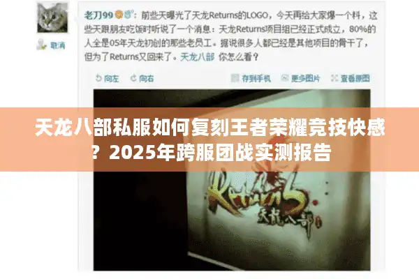 天龙八部私服如何复刻王者荣耀竞技快感？2025年跨服团战实测报告