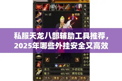 私服天龙八部辅助工具推荐，2025年哪些外挂安全又高效？