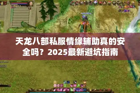 天龙八部私服情缘辅助真的安全吗？2025最新避坑指南